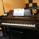 piano teacher patty sopita photo 1