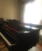 piano teacher Raydene Koch photo 1