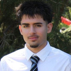 Arman Shayestehfar main photo