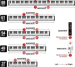 Piano Keyboard Stickers & Key Labels for 88/61/54/49 Keys thumbnail 3