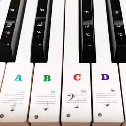 Piano Keyboard Stickers & Key Labels for 88/61/54/49 Keys thumbnail 1